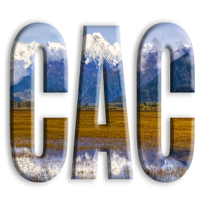 Chugach Arts logo 600x600